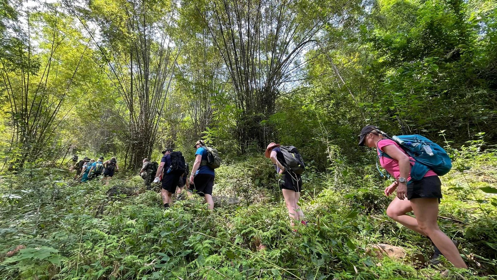Hiking from Cuc Phuong to Ngoc Son Ngo Luong Natural Area 9 Days